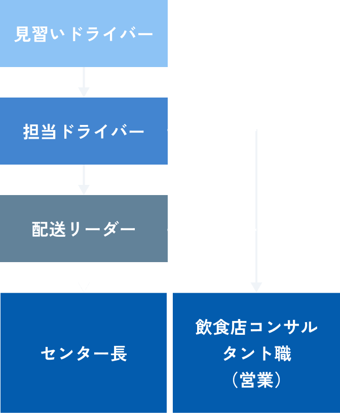見習いドライバー→担当ドライバー→配送リーダー 飲食店コンサルタント職（営業） センター長